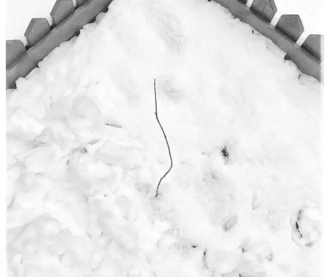 پانسیون Csdy Guesthouse