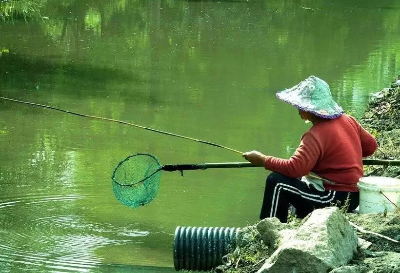 پانسیون Csdy Guesthouse