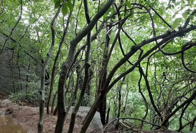 Majatalo Priya Homestay Kandalama