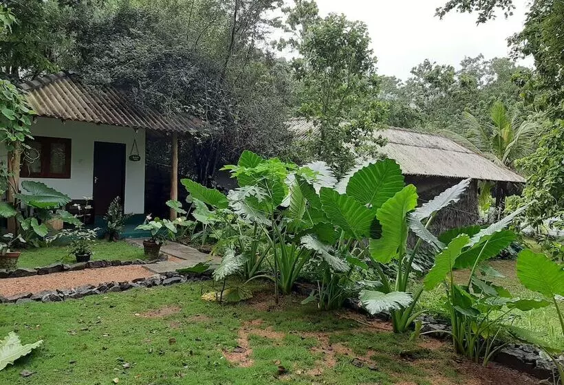 Majatalo Priya Homestay Kandalama