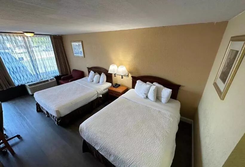 酒店 Clarion Inn & Suites Near The Leconte Center Pigeon Forge