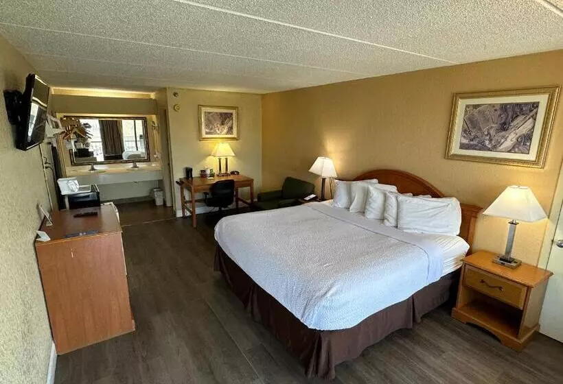 酒店 Clarion Inn & Suites Near The Leconte Center Pigeon Forge