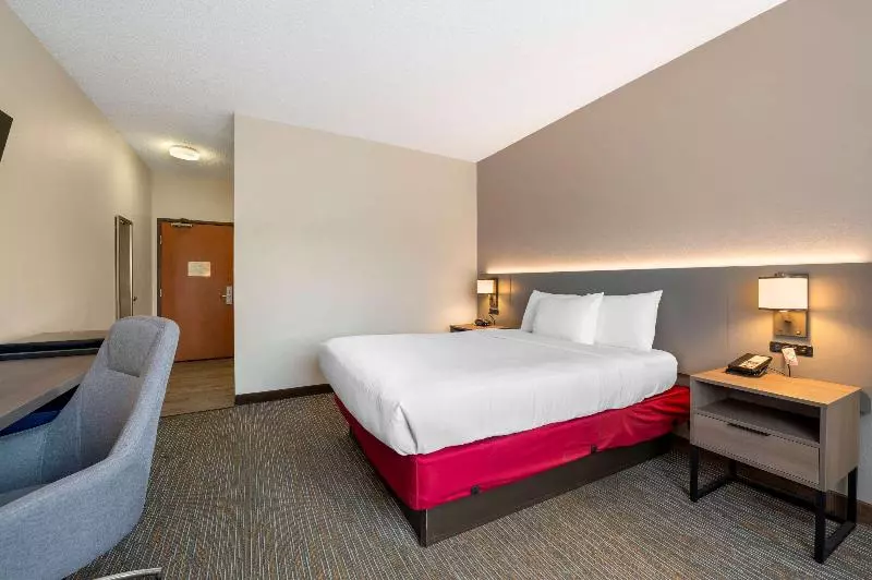 فندق Comfort Inn & Suites