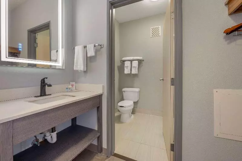 فندق Comfort Inn & Suites