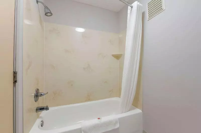 فندق Comfort Inn & Suites