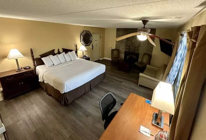 酒店 Clarion Inn & Suites Near The Leconte Center Pigeon Forge