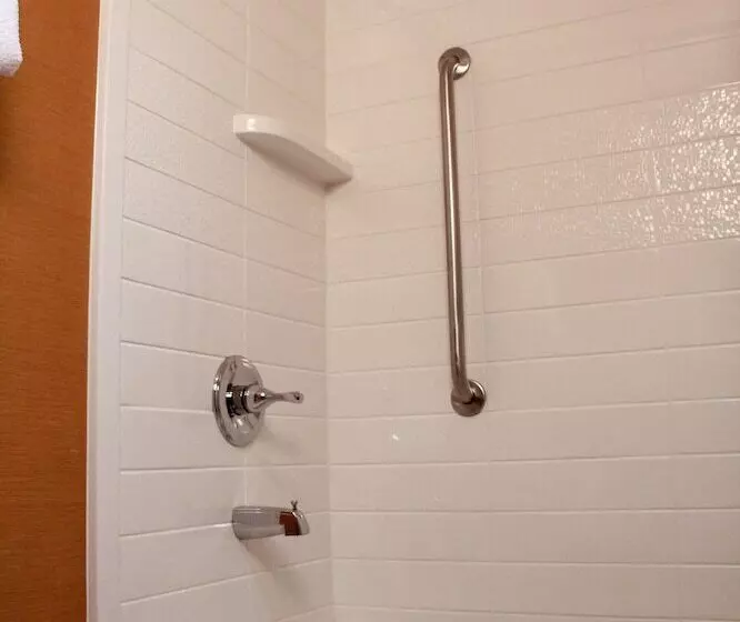 ホテル Fairfield Inn By Marriott Kalamazoo West