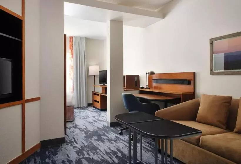 호텔 Fairfield Inn And Suites Austin South