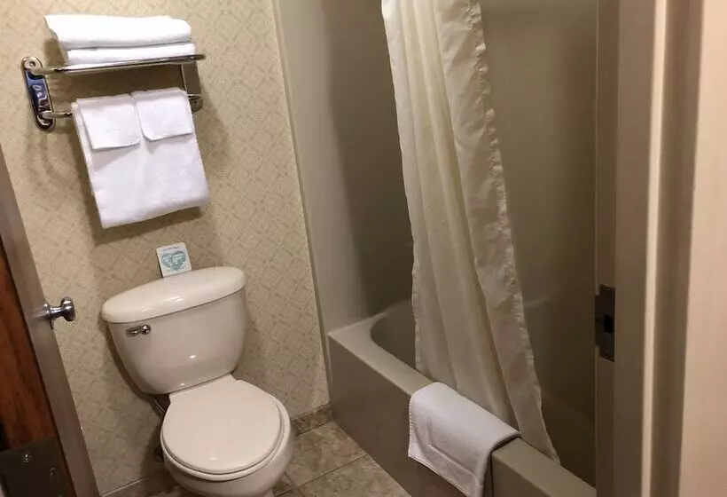 هتل First Gold Gaming Resort