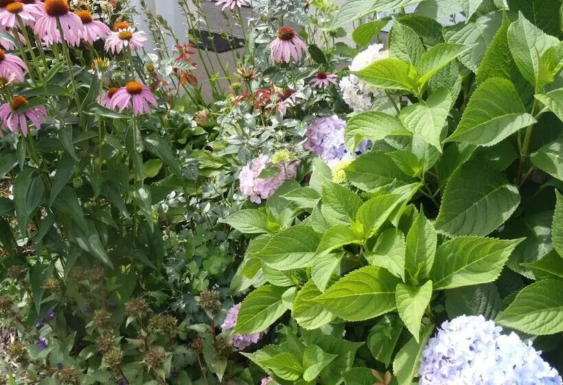 هتل Glass House Inn Erie Near I90 & I79