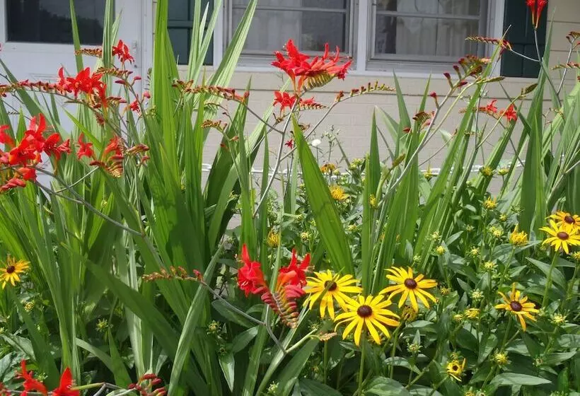 هتل Glass House Inn Erie Near I90 & I79