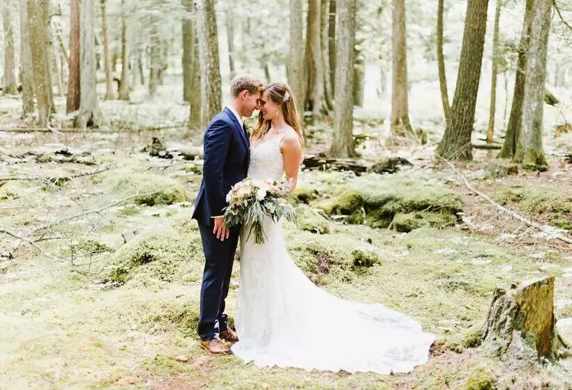 فندق Gordon Lodge