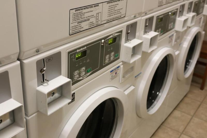 فندق Gray Wolf Inn & Suites