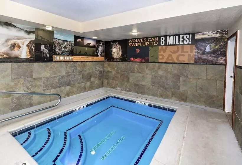 هتل Gray Wolf Inn & Suites