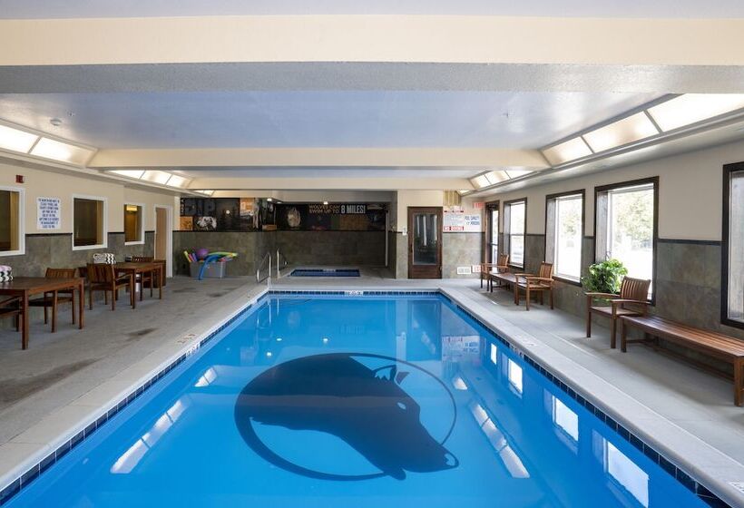 فندق Gray Wolf Inn & Suites