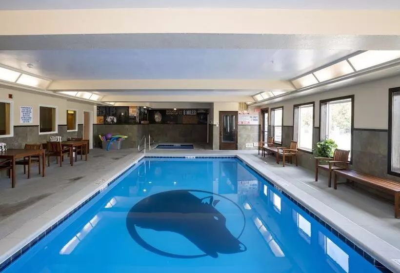 هتل Gray Wolf Inn & Suites