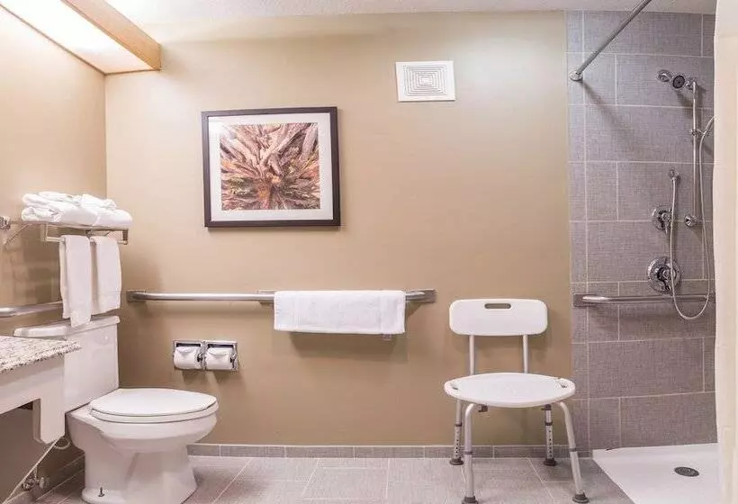 هتل Gray Wolf Inn & Suites