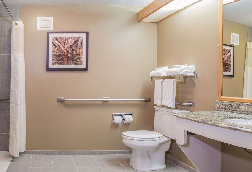 فندق Gray Wolf Inn & Suites