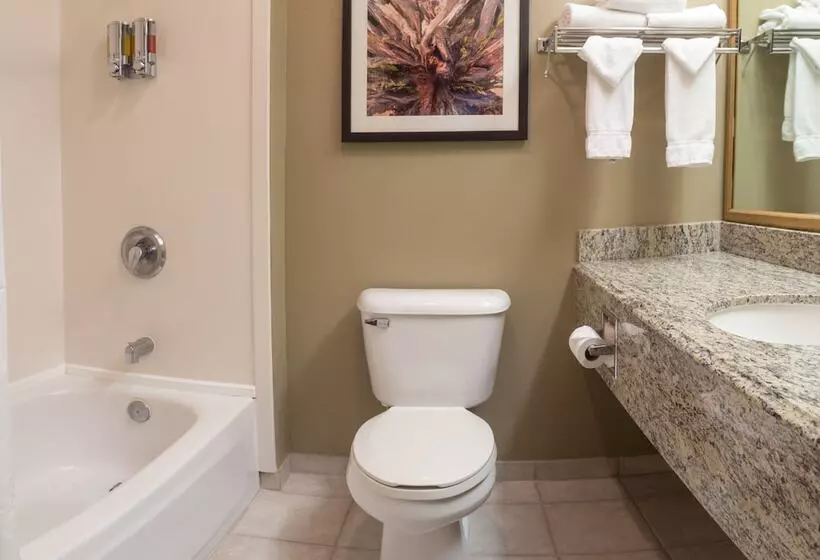 هتل Gray Wolf Inn & Suites