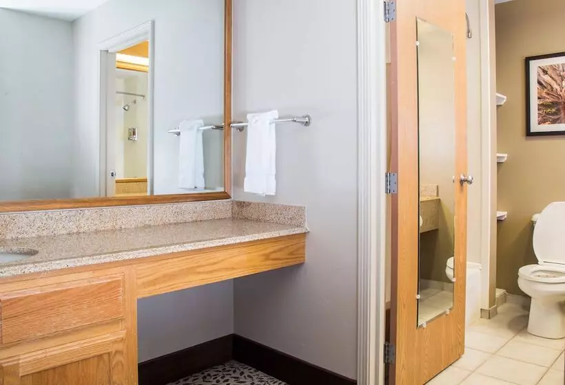 هتل Gray Wolf Inn & Suites