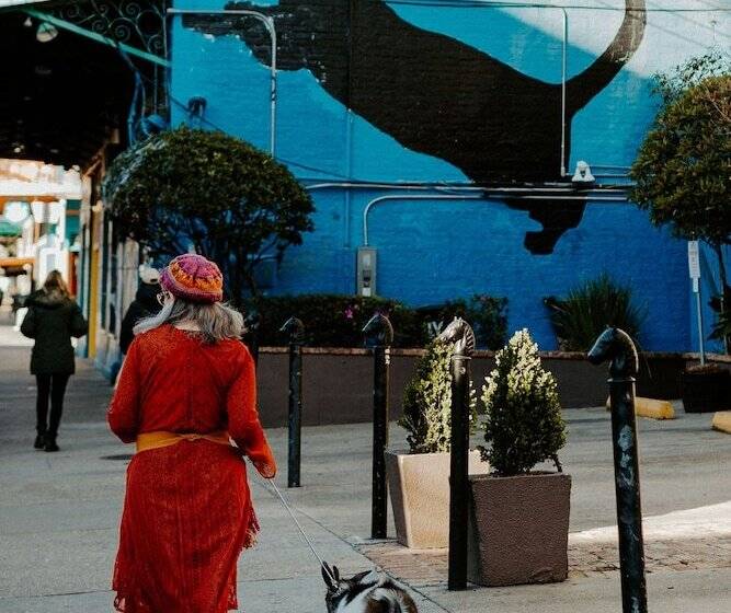 Otel The Frenchmen New Orleans By Kasa