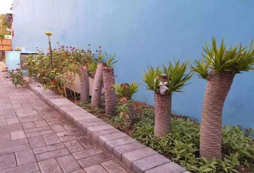 هاستل Asipra House By Oyo Rooms