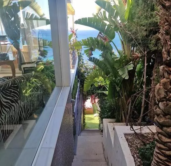 ベッドアンドブレックファースト Condesa Del Mar Adults Only