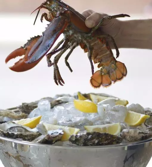 Hotelli Dea Della Salute