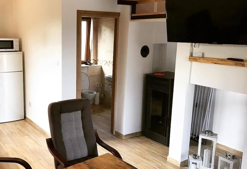 펜션 Brzozowe Wzgorze