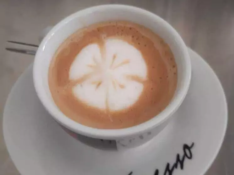 ペンション Villa Finera