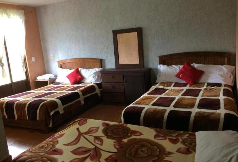 هتل Vista Markés