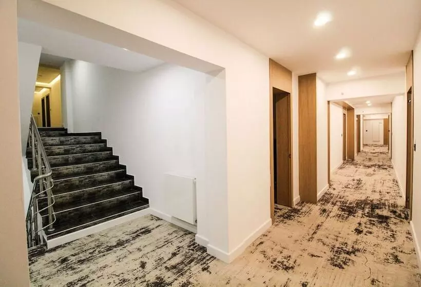 Avenue   Avenue Hotels