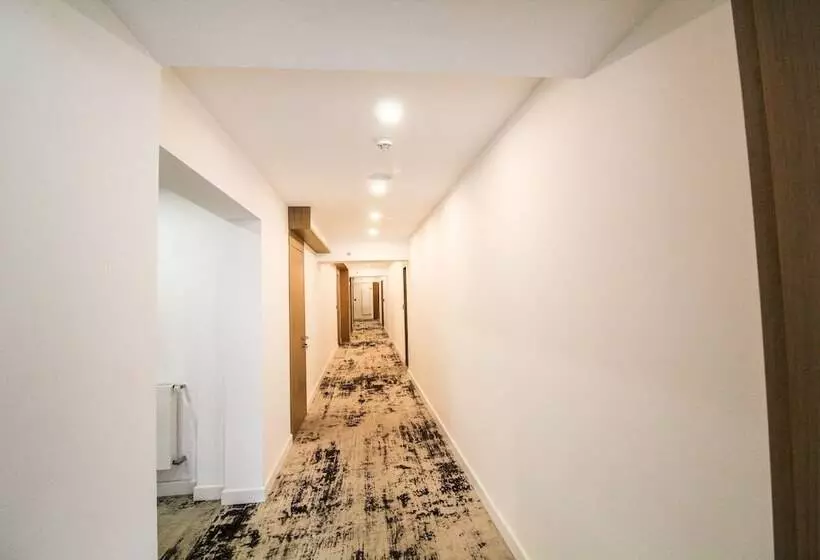 Avenue   Avenue Hotels