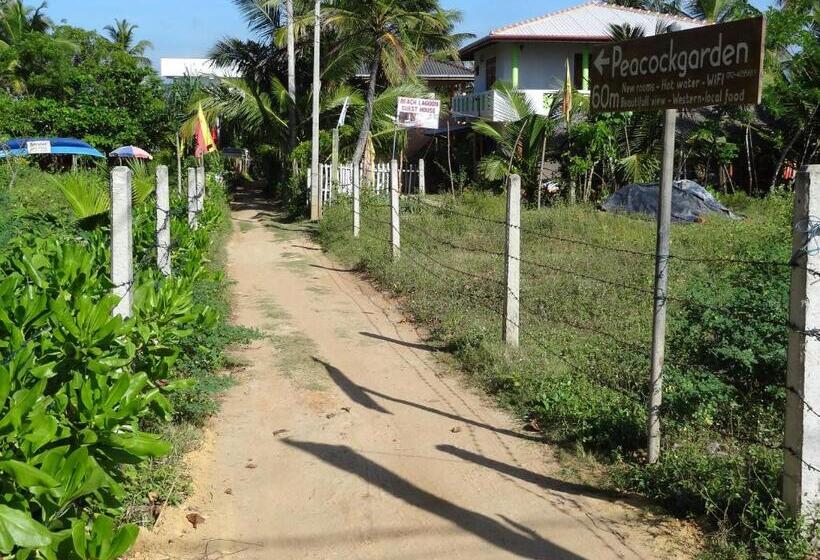 酒店 Hidden Garden Tangalle