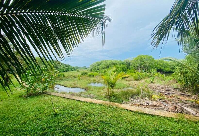 酒店 Hidden Garden Tangalle