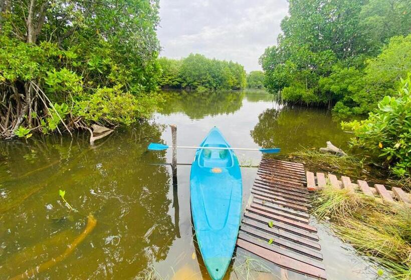酒店 Hidden Garden Tangalle