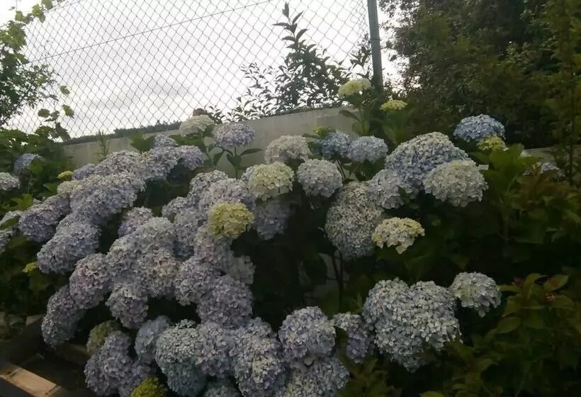 Comfortable Apartment With Mountain View 90 M² Fireplace