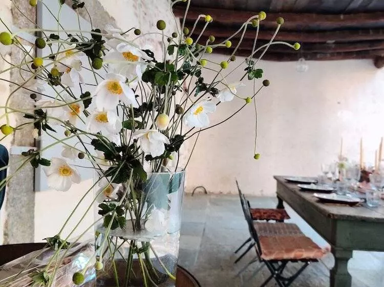 Aamiaismajoitus (B&B) Dandelion Como Suites & Park