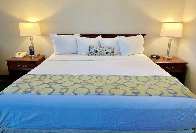 酒店 Baymont Inn & Suites Texarkana