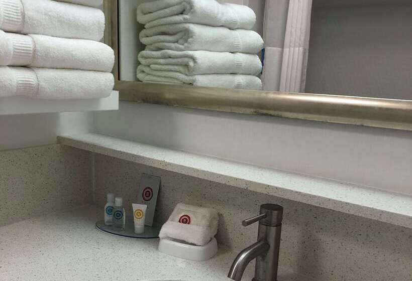 酒店 Comfort Inn Darien North Brunswick