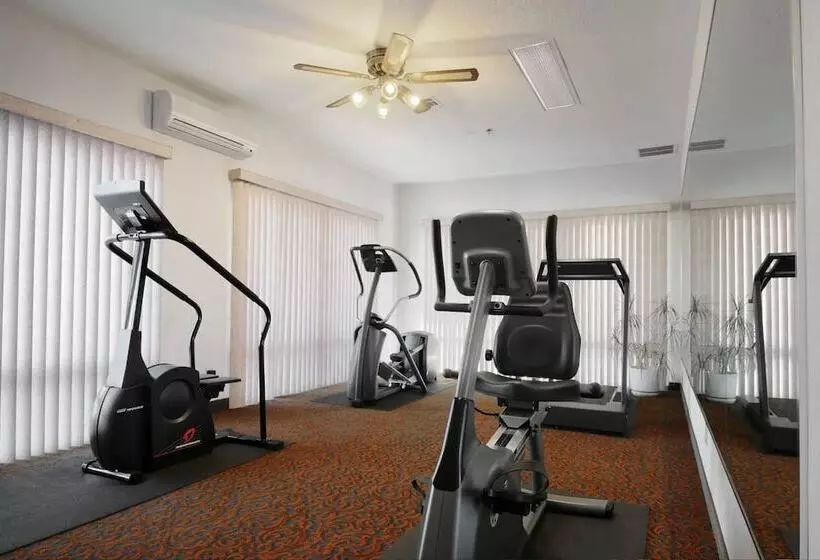 호텔 Coratel Inn & Suites By Jasper New Braunfels Ih 35 Ext 189
