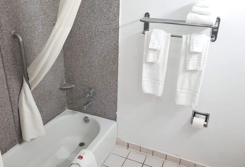 Отель Coratel Inn & Suites By Jasper New Braunfels Ih 35 Ext 189