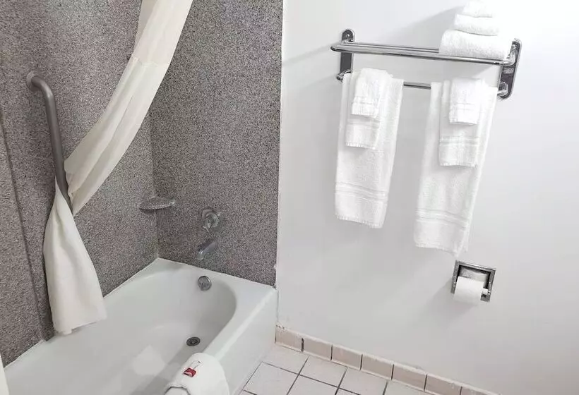 호텔 Coratel Inn & Suites By Jasper New Braunfels Ih 35 Ext 189