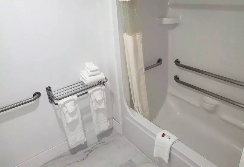 호텔 Coratel Inn & Suites By Jasper New Braunfels Ih 35 Ext 189