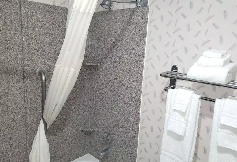 호텔 Coratel Inn & Suites By Jasper New Braunfels Ih 35 Ext 189