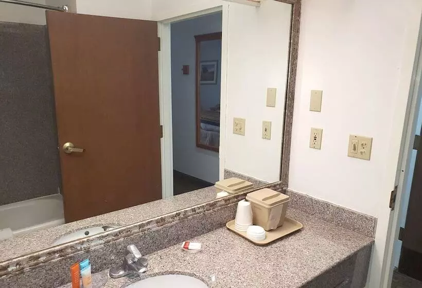 호텔 Coratel Inn & Suites By Jasper New Braunfels Ih 35 Ext 189