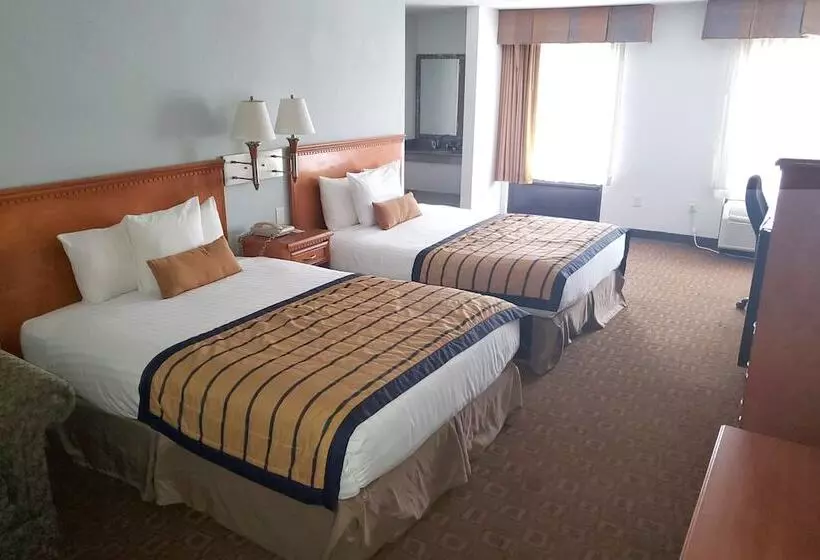 호텔 Coratel Inn & Suites By Jasper New Braunfels Ih 35 Ext 189