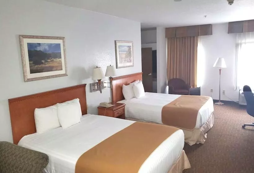 호텔 Coratel Inn & Suites By Jasper New Braunfels Ih 35 Ext 189
