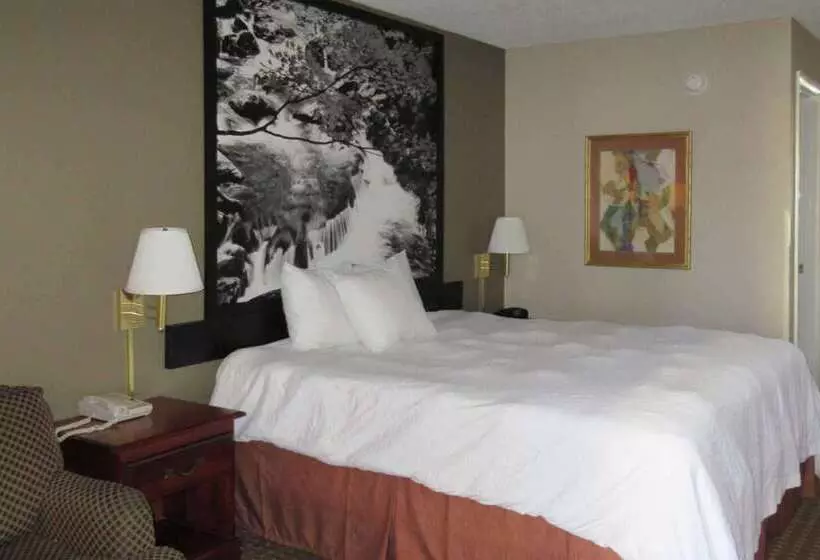 فندق Econo Lodge Inn & Suites