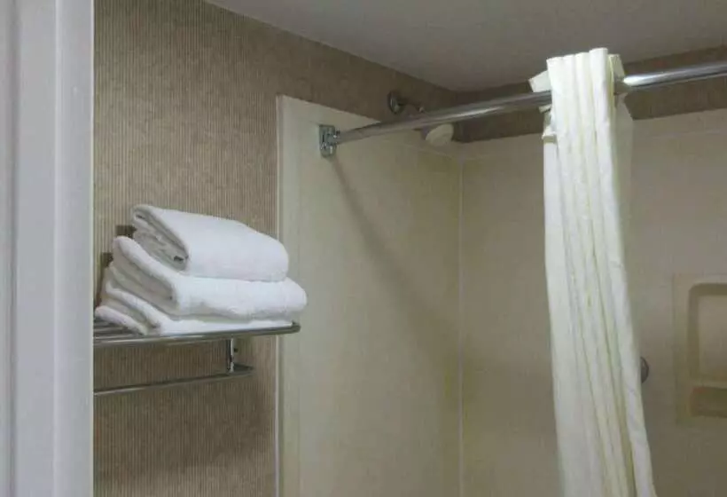 فندق Econo Lodge Inn & Suites